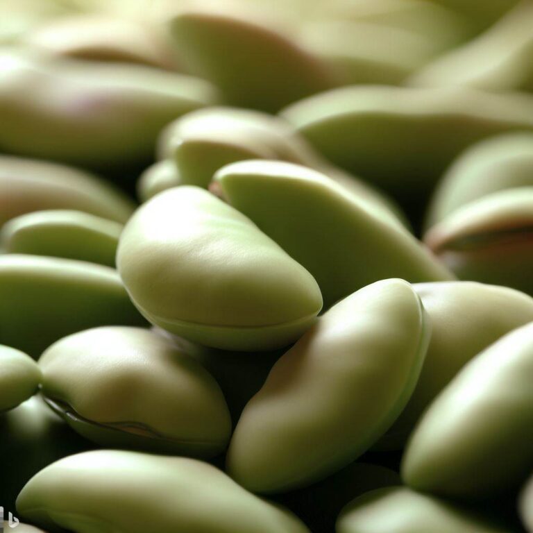 bób - warzywo strączkowe